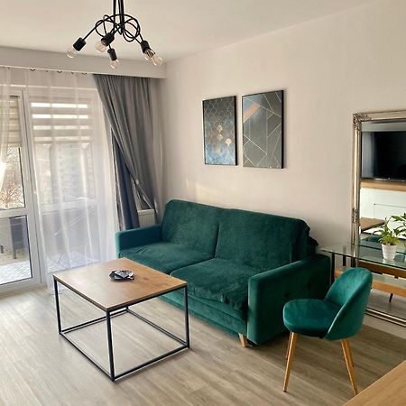 Apartament Na Skrzypka Cieszyn (Silesia) Exterior foto