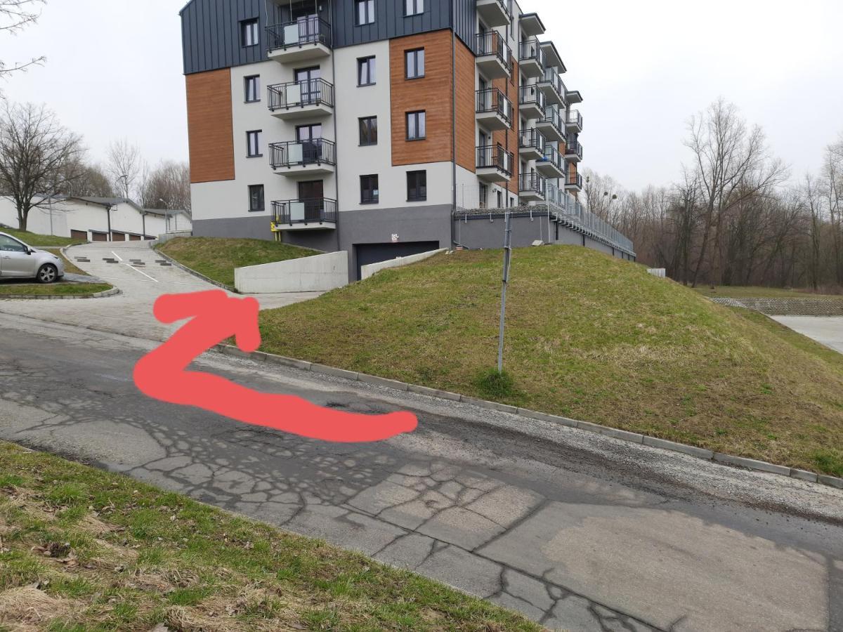 Apartament Na Skrzypka Cieszyn (Silesia) Exterior foto